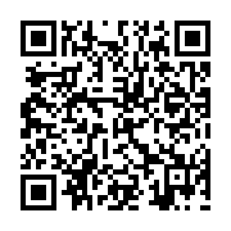 QR code for ZZL 371