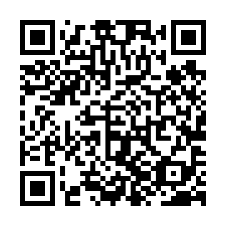 QR code for plate ZZL 699
