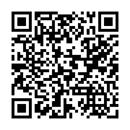 QR code for ZZL905
