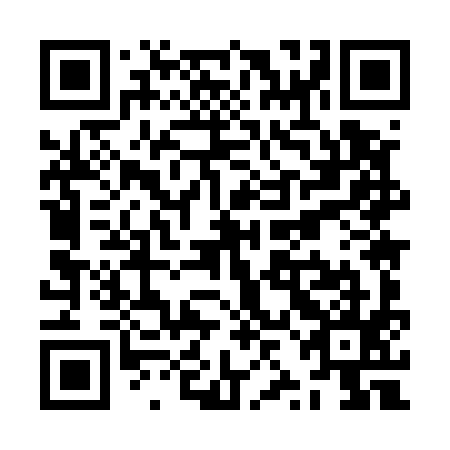 QR code for plate ZZM 595