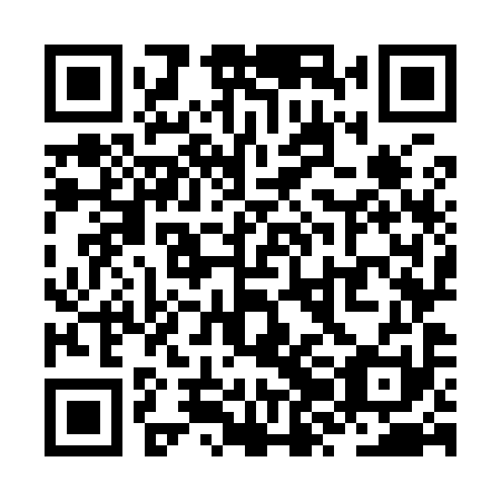 QR code for ZZO 991