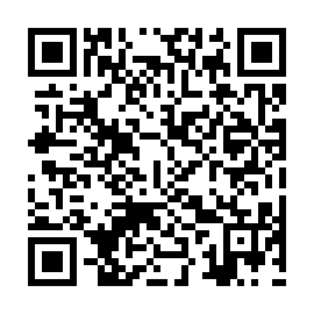 QR code for ZZP 315