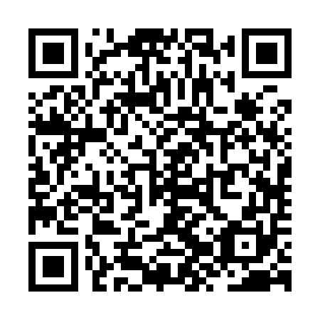 QR code for ZZR 950
