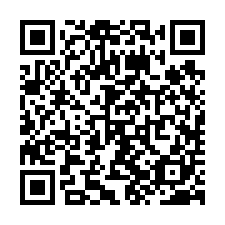 QR code for ZZR600