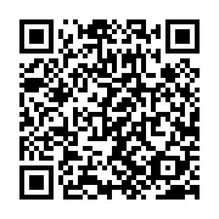 QR code for ZZT 009