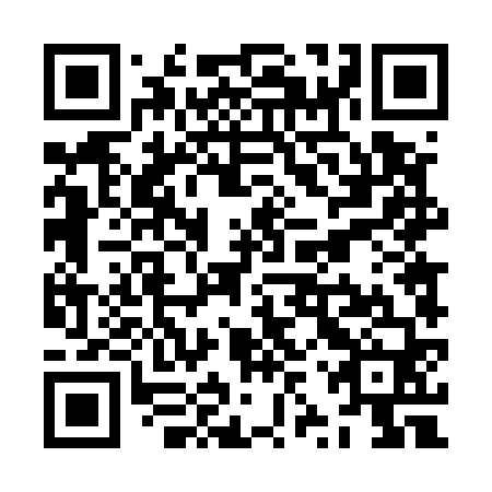 QR code for ZZT 560