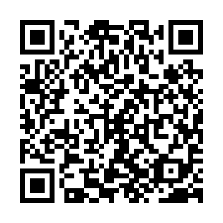 QR code for ZZU 299