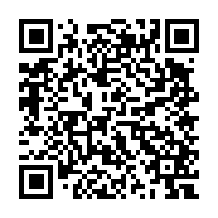 QR code for ZZU441