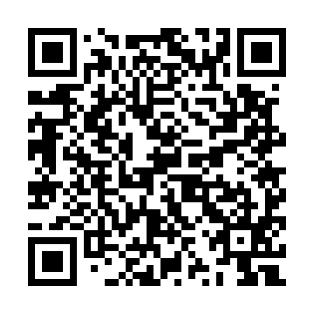QR code for ZZW 595