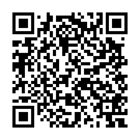 QR code for plate ZZW 008
