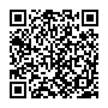 QR code for ZZZ 293