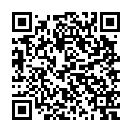 QR code for plate ZZZ 019