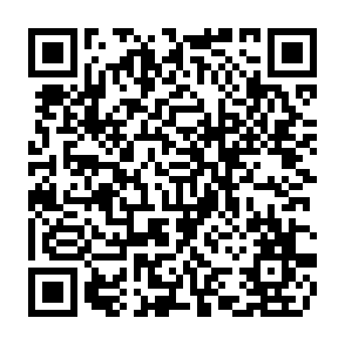 QR code for CAE317