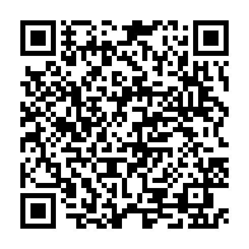 QR code for plate CAG 228