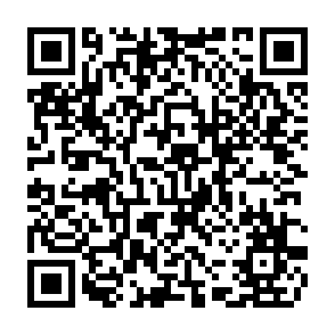QR code for CAG313