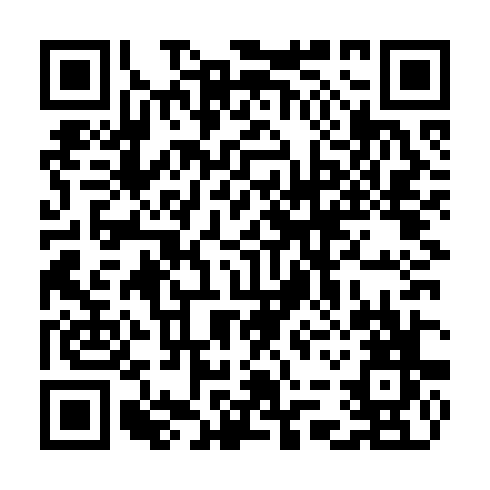 QR code for CAG383