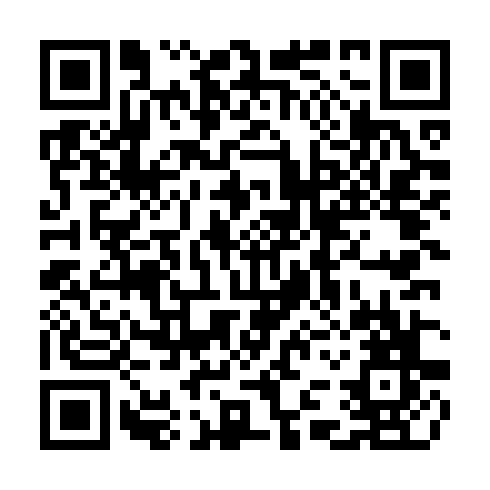 QR code for CAI 545