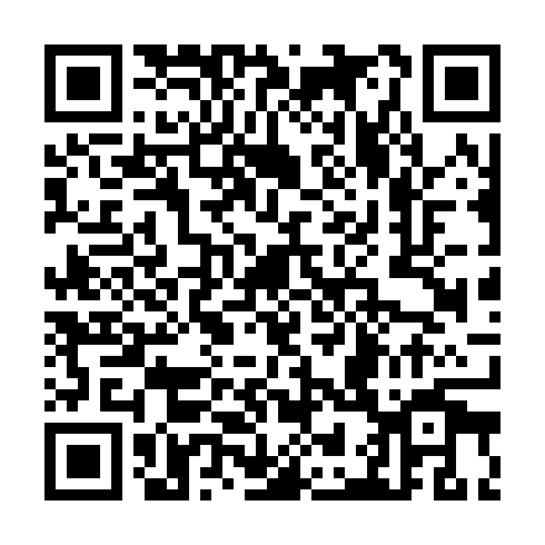 QR code for CAR 369