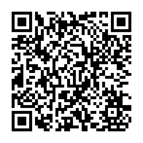 QR code for plate CAR 376