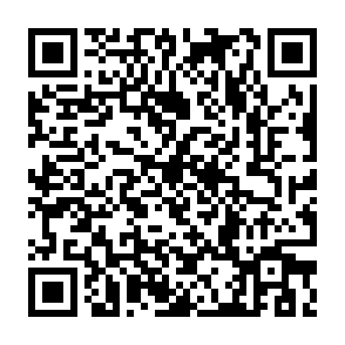 QR code for plate CBG 133