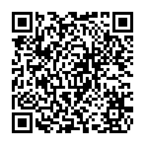 QR code for plate CBG 483