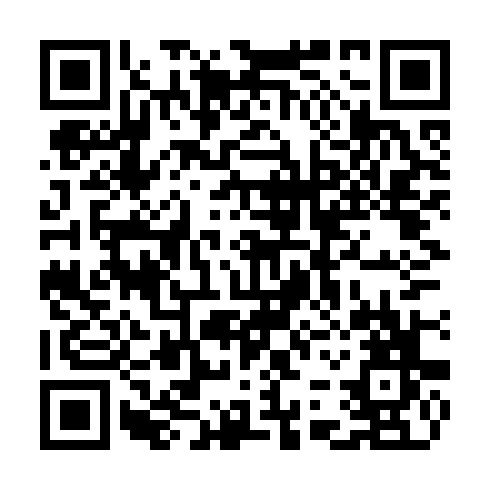 QR code for plate CCS 383