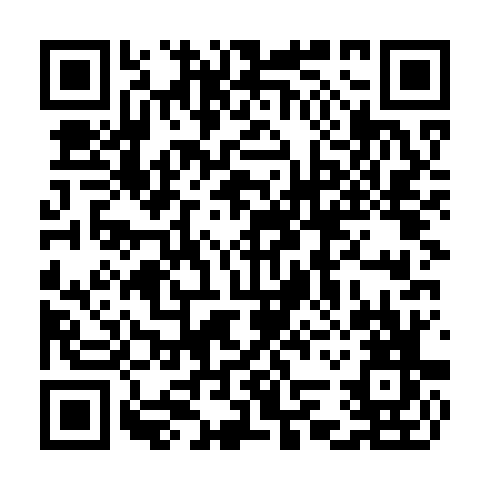 QR code for CDD 295
