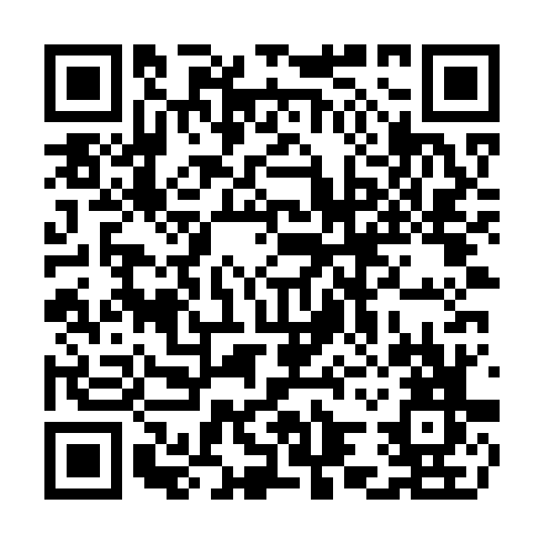 QR code for CDD 913