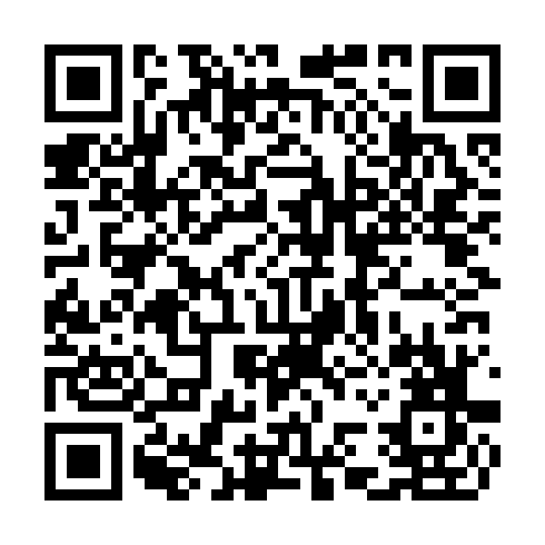 QR code for CDG393