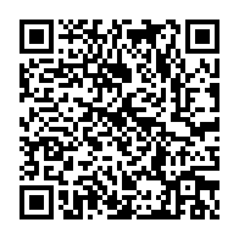 QR code for CDZ919