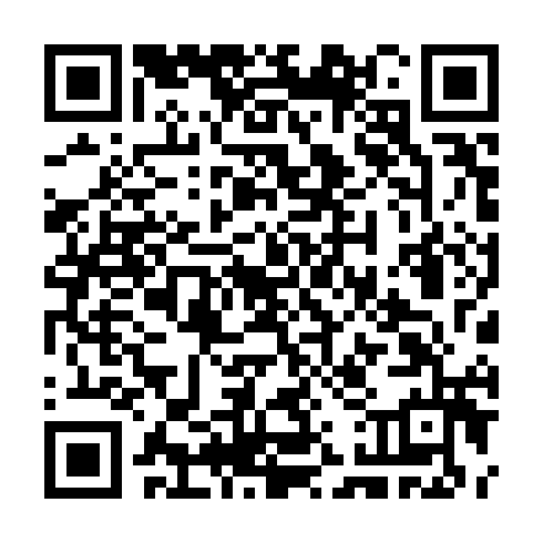 QR code for CEF 313