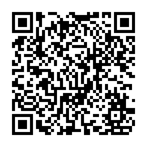 QR code for CEO 036