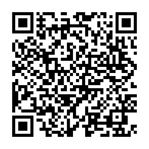 QR code for CEO 503