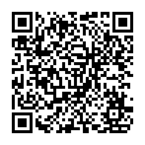QR code for CEO 533