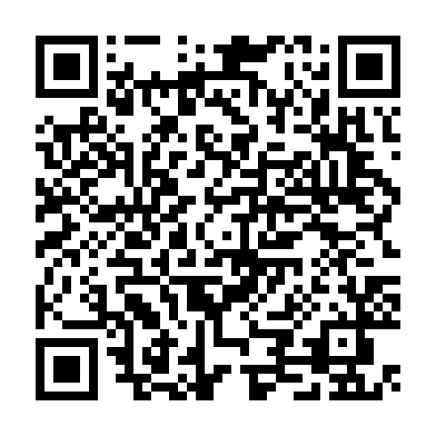 QR code for CEO 603