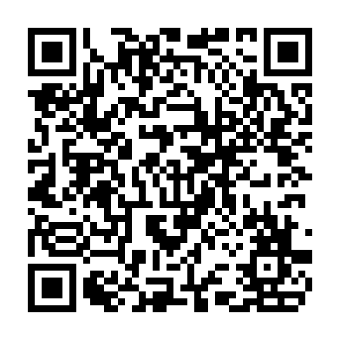 QR code for CEO 638