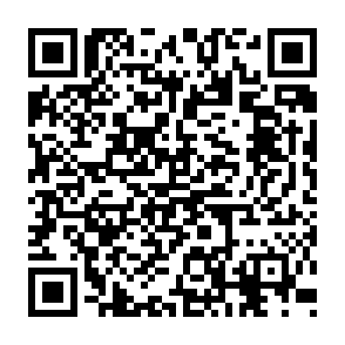 QR code for CEO 699