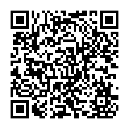 QR code for CEO 875