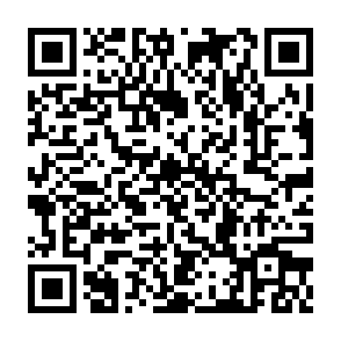 QR code for CEO980