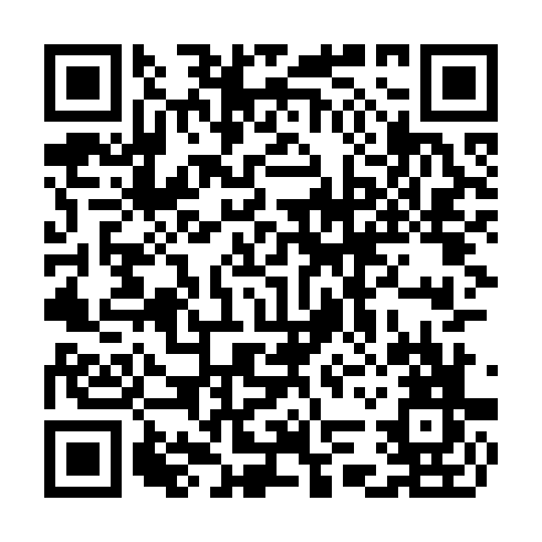 QR code for CES 295