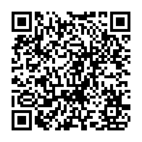 QR code for plate CFE 533