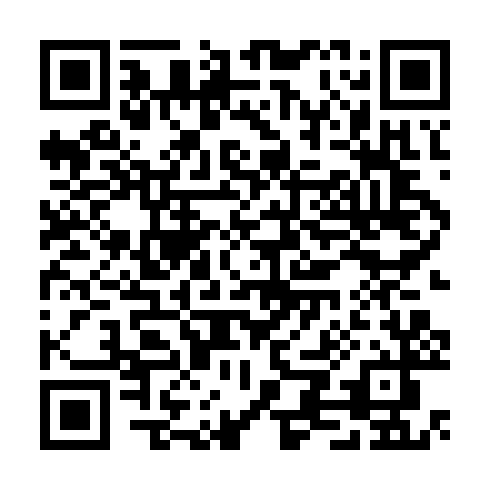 QR code for CFO 501