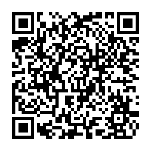 QR code for CGA 381