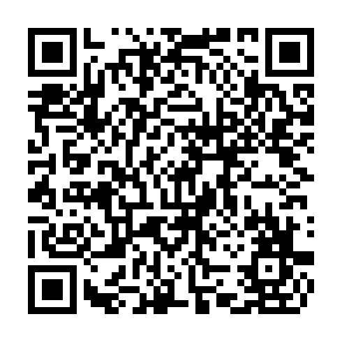 QR code for CGK 393