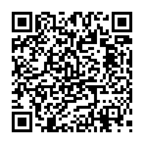 QR code for plate CGX 028