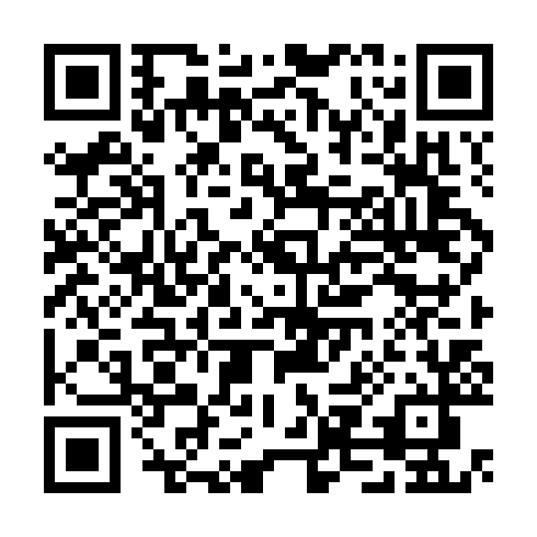 QR code for plate CGZ 101