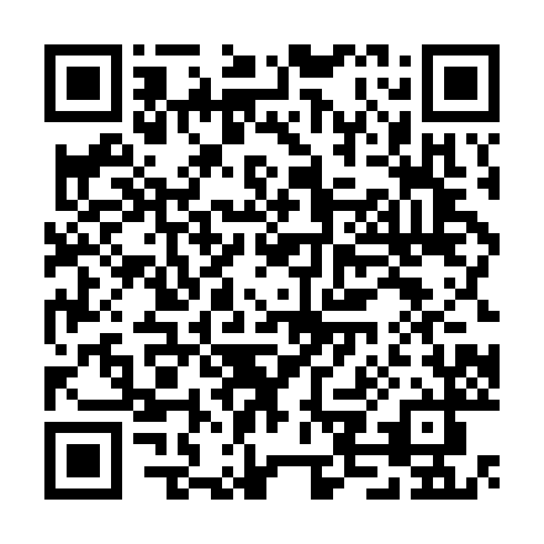 QR code for plate CHB 302