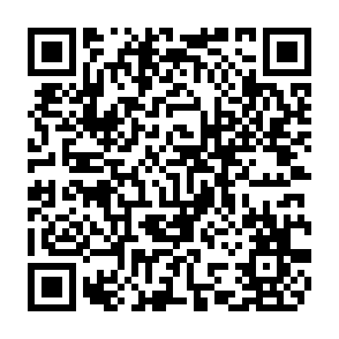 QR code for plate CHB 969