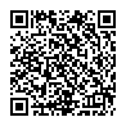 QR code for CHE 384