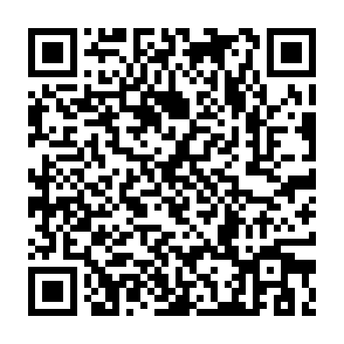 QR code for CHE 938